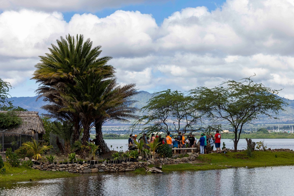 Sailors, Community Volunteer at Historic Hawaiian Fishpond