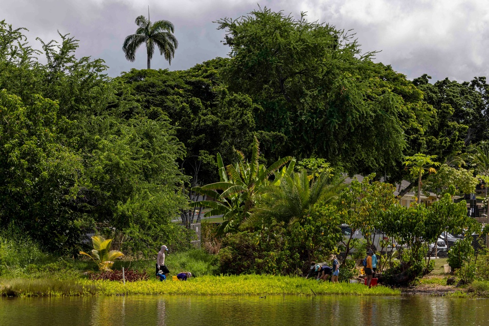 Sailors, Community Volunteer at Historic Hawaiian Fishpond