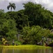 Sailors, Community Volunteer at Historic Hawaiian Fishpond