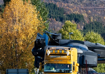Osprey Recovered in Norway