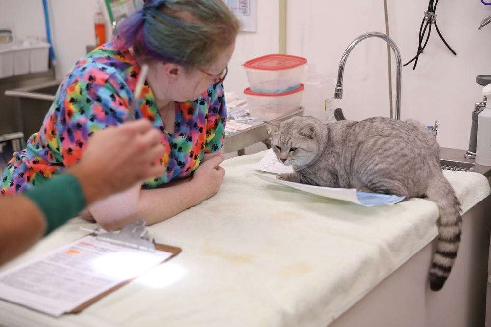 Area Support Group - Kuwait continues neutering program