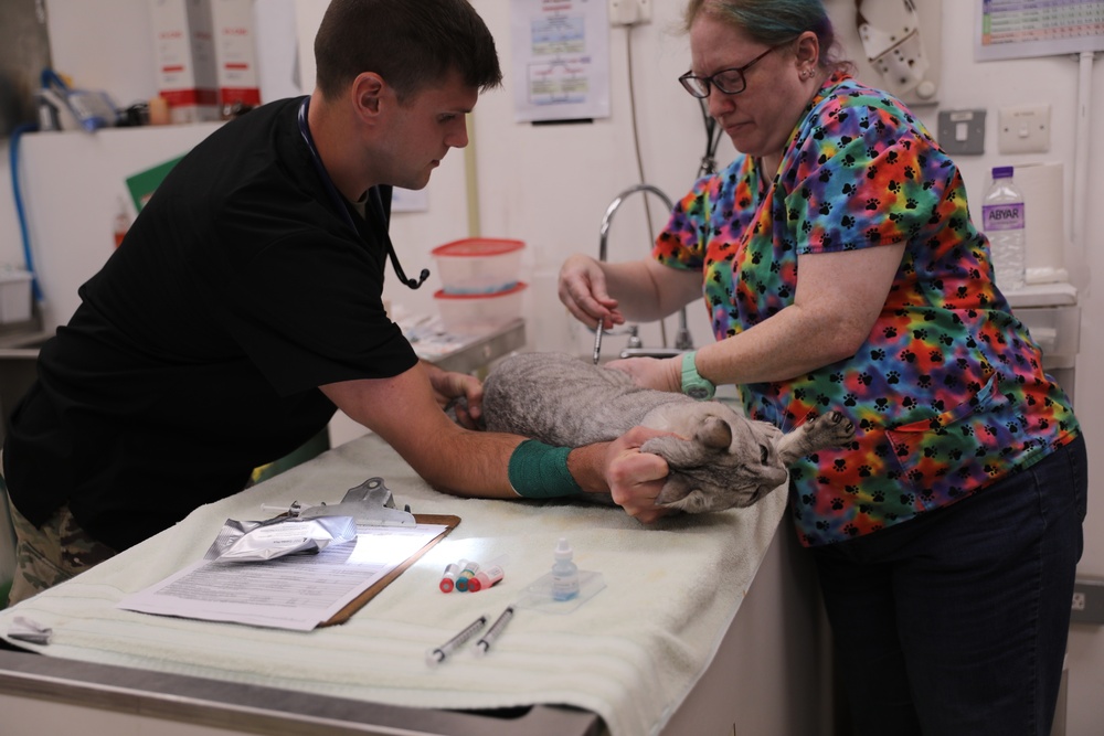 Kuwait continues neutering program