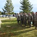 Alaska Air and Army Guardsmen assist Nome community affected by Typhoon Merbok