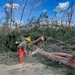 National Guard Chainsaw's Trees in Charlotte in Aftermath of Hurricane Ian