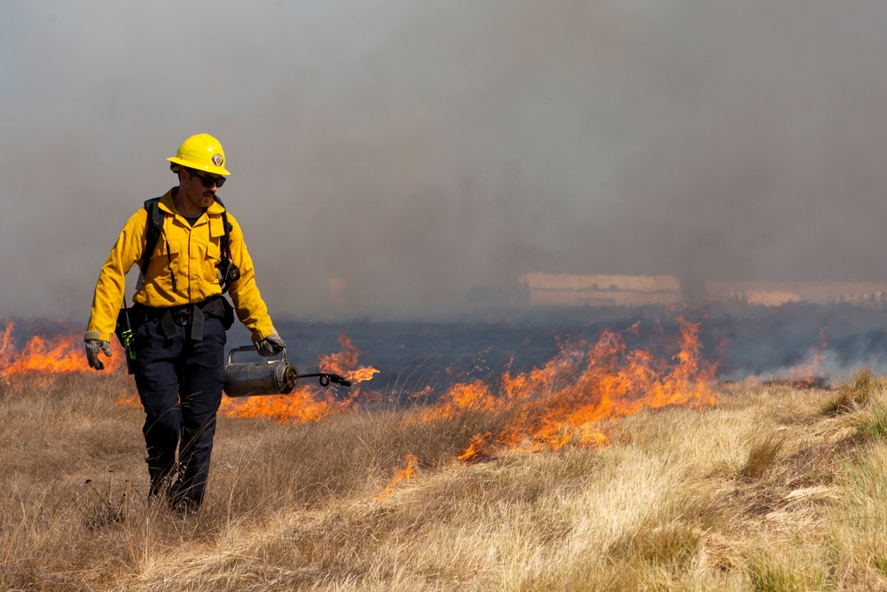 Firefighters conduct prescribed burn on MCAS Miramar