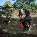 “Strike” Soldiers execute battle drills in Hungary