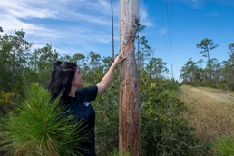 BASH; protecting Tyndall's jets