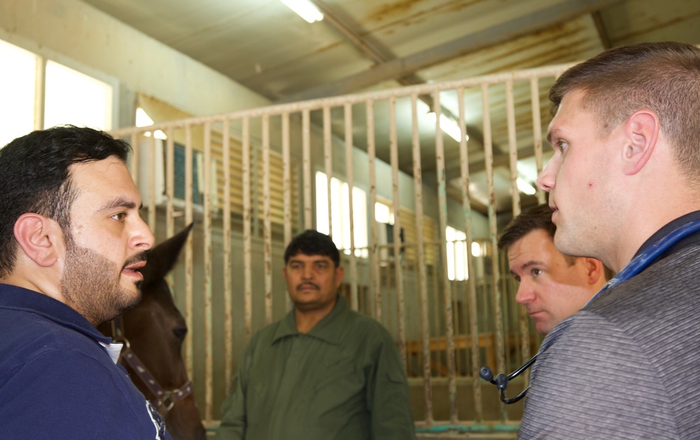 Camp Arifjan Veterinarians Visit Kuwait Military Equestrian Center, Oct. 2022