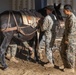 8th ESB Marines integrate animal packers in preparation of force-on-force exercise