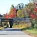 2022 Fall Colors at Fort McCoy