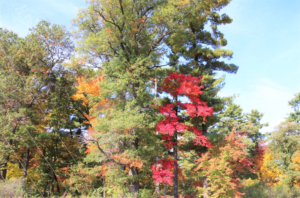 2022 Fall Colors at Fort McCoy