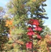 2022 Fall Colors at Fort McCoy