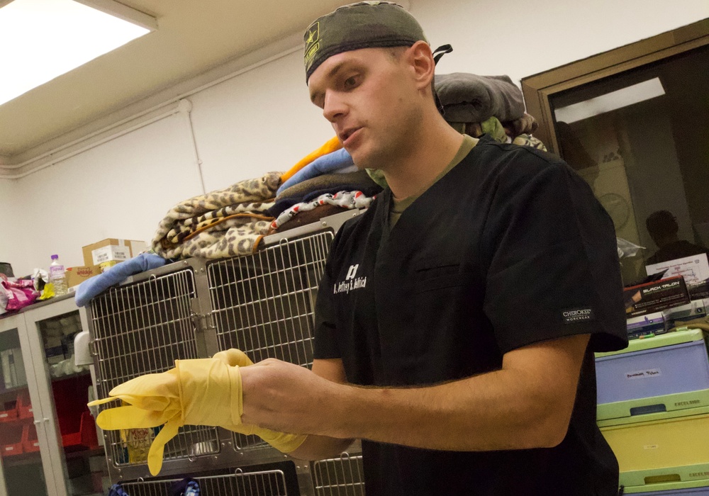 Area Support Group - Kuwait Continues Neutering Program