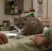 Area Support Group - Kuwait Continues Neutering Program