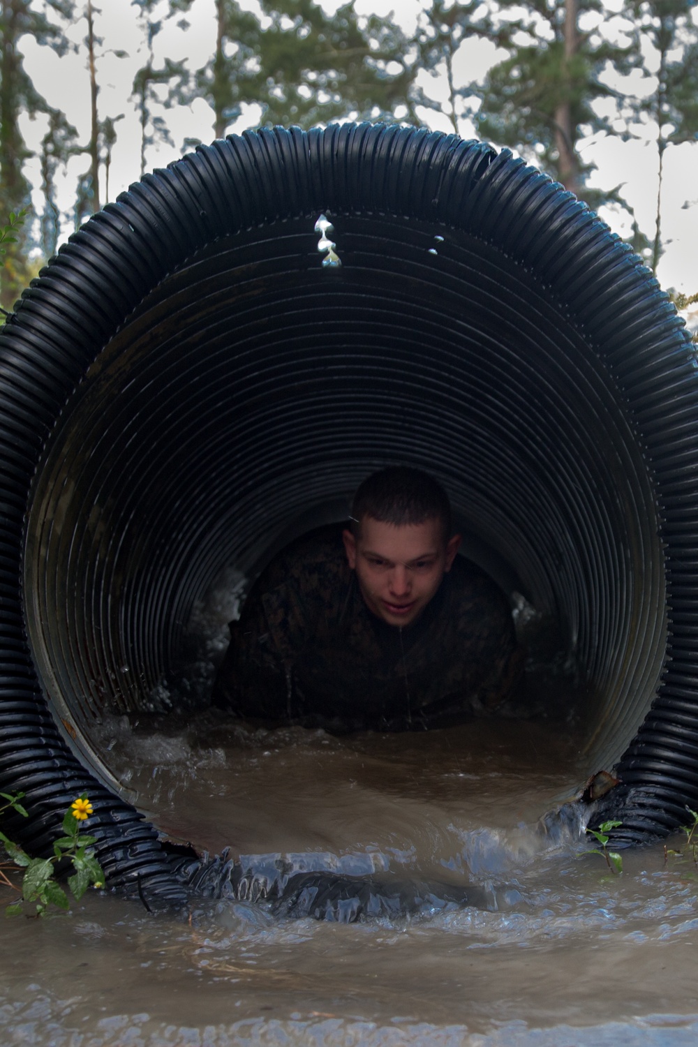 Marines Take on the Endurance Course