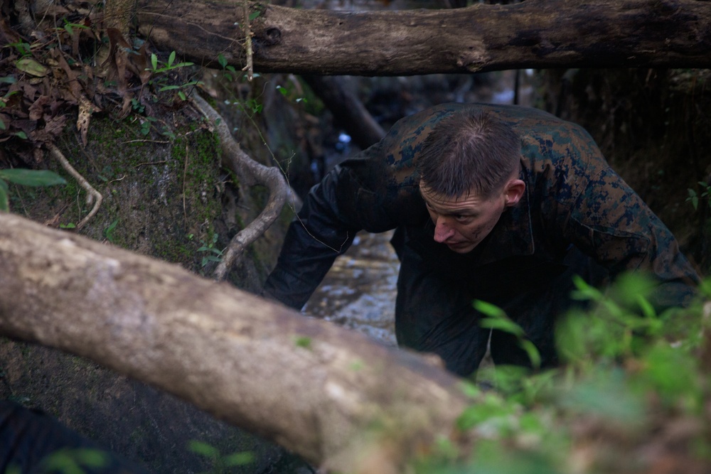 Marines Take on the Endurance Course