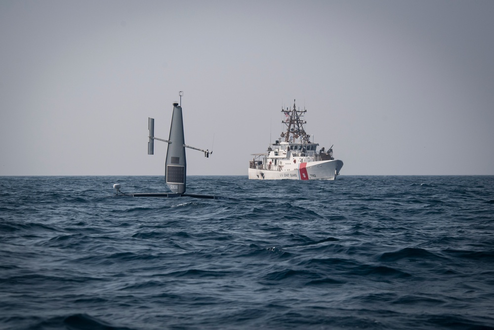 U.S., UK Navies Conduct Unmanned Exercise in Arabian Gulf