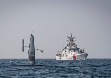 U.S., UK Navies Conduct Unmanned Exercise in Arabian Gulf