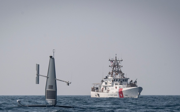 U.S., UK Navies Conduct Unmanned Exercise in Arabian Gulf