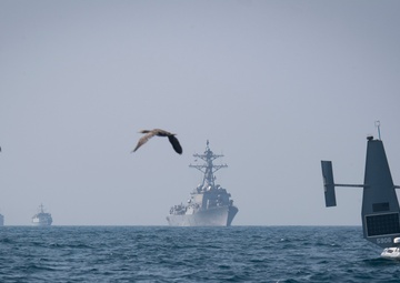 U.S., UK Navies Conduct Unmanned Exercise in Arabian Gulf