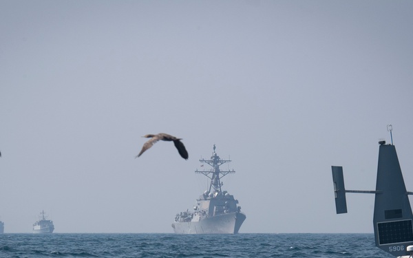 U.S., UK Navies Conduct Unmanned Exercise in Arabian Gulf