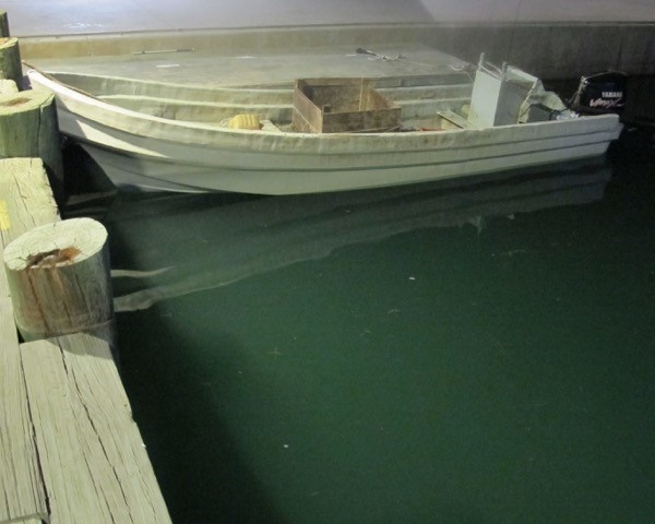 Coast Guard interdicts lancha crew, seizes illegally caught fish off Texas coast