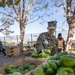 SF Fleet Week: Marines, Sailors prepare bags of food during Food Bank