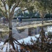 Downtown Sanford Inundated with Rising Water