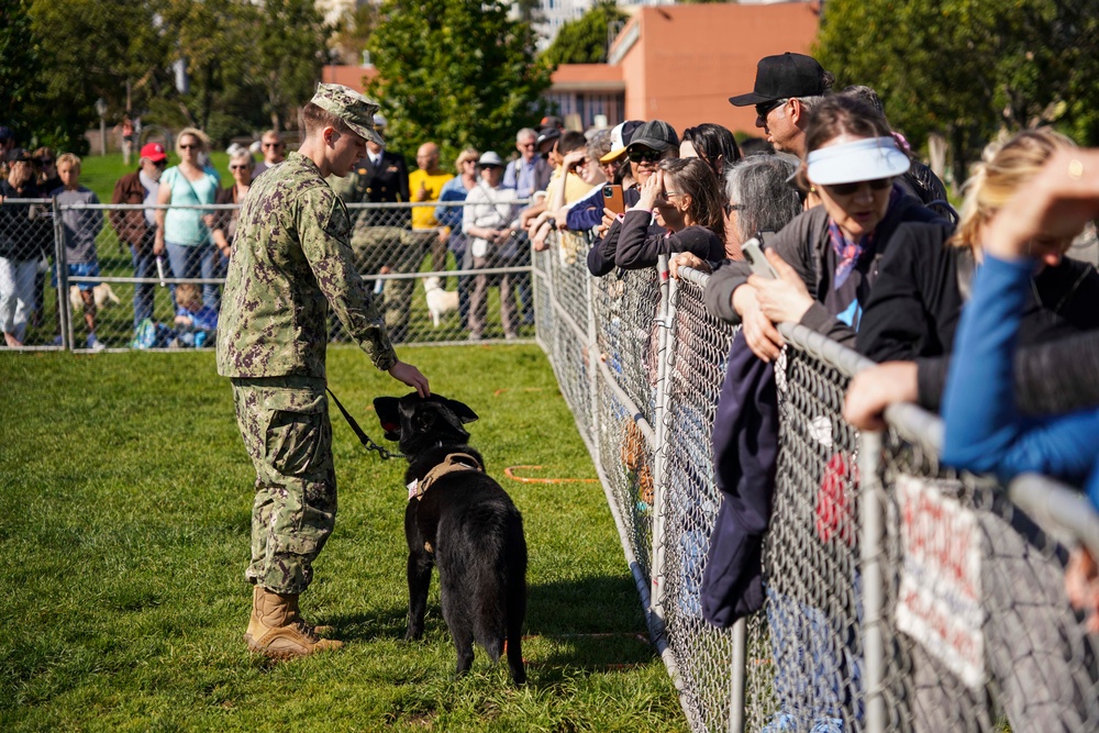 Working dogs from federal and military units performed in a demonstration at Duboce Park as a part of San Francisco Fleet Week 2022, Oct. 8, 2022.
