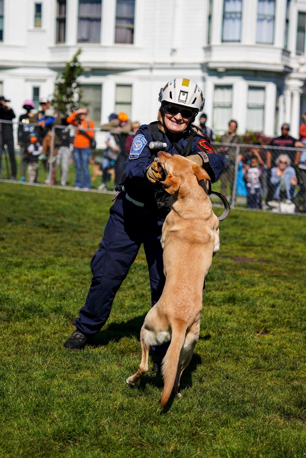 Working dogs from federal and military units performed in a demonstration at Duboce Park as a part of San Francisco Fleet Week 2022, Oct. 8, 2022.