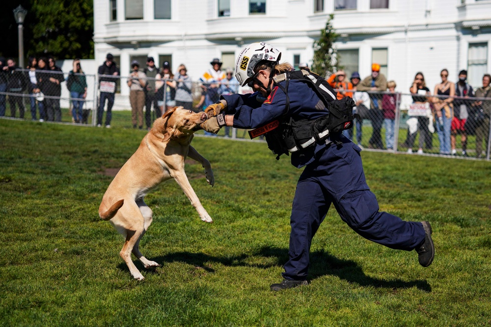 Working dogs from federal and military units performed in a demonstration at Duboce Park as a part of San Francisco Fleet Week 2022, Oct. 8, 2022.