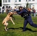 Working dogs from federal and military units performed in a demonstration at Duboce Park as a part of San Francisco Fleet Week 2022, Oct. 8, 2022.