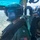 Coast Guard assists 2 aboard fishing vessel taking on water near Corpus Christi, Texas