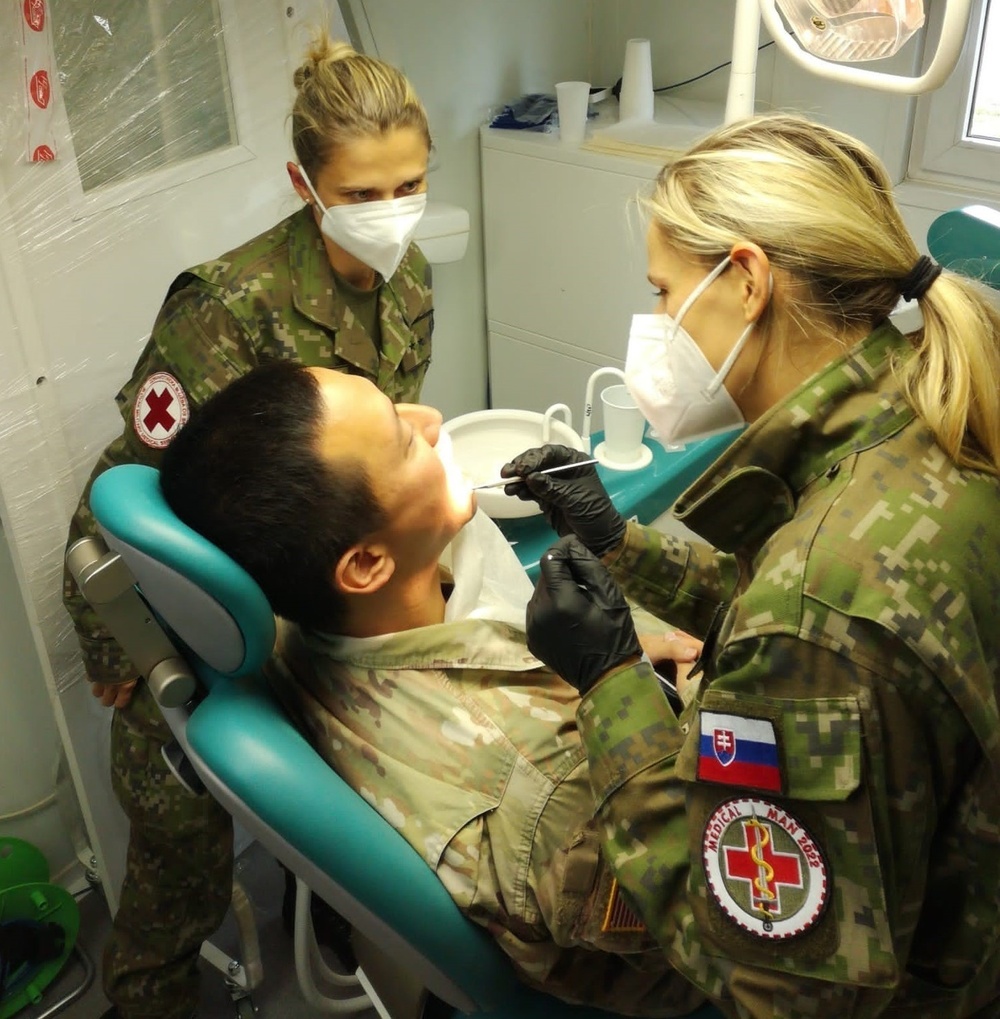 US medical evaluators work with multinational counterparts to evaluate medical task force in Czech Republic