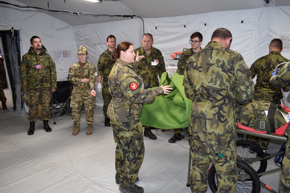 US medical evaluators work with multinational counterparts to evaluate medical task force in Czech Republic