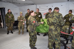 US medical evaluators work with multinational counterparts to evaluate medical task force in Czech Republic