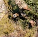 ISTC Desert Sniper Course 2022