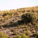 ISTC Desert Sniper Course 2022