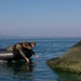 Lake Constance, Germany, Joint Water Airborne Operation Training
