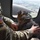 Military working dog Caesar