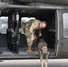 Military working dogs and their handlers receive medical evacuation training