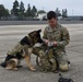 Military working dog