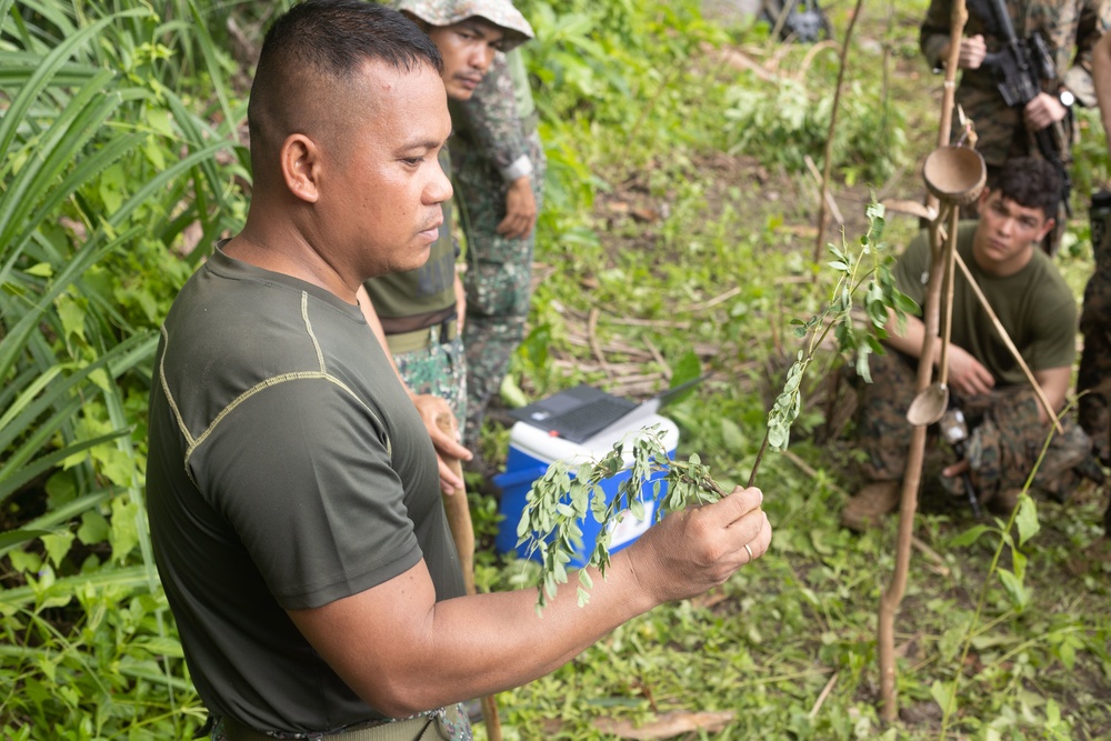 MRF Learns to Cook in the Jungle During KAMANDAG 6