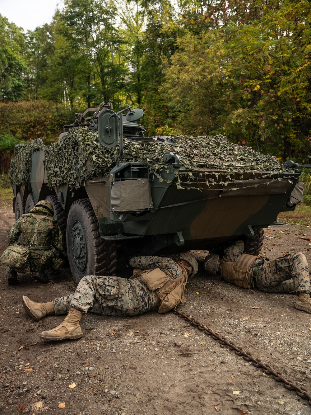 Resolute Dragon 22 | 3rd TB Marines and JGSDF Soldiers conduct Bilateral Vehicle Recovery Training