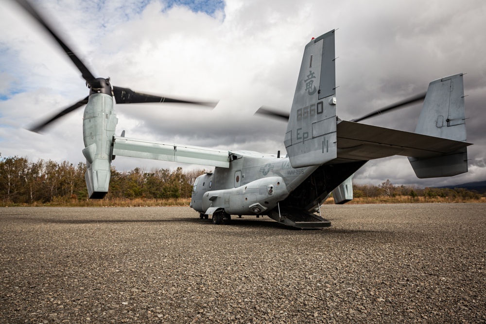 Resolute Dragon 22 | VMM-265 Air Assault