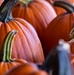 Fort Riley: Center of Everything - Britt's Garden Acres