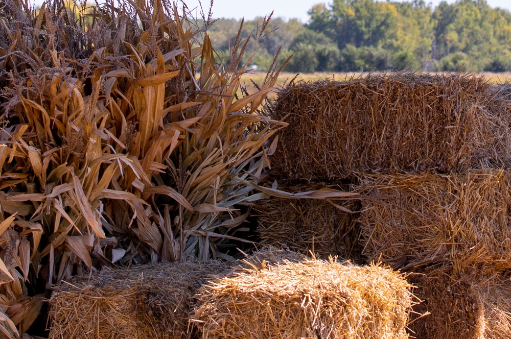 Fort Riley: Center of Everything - Britt's Garden Acres