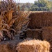 Fort Riley: Center of Everything - Britt's Garden Acres