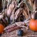 Fort Riley: Center of Everything - Britt's Garden Acres