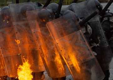 Fire Phobia Training - KFOR 31